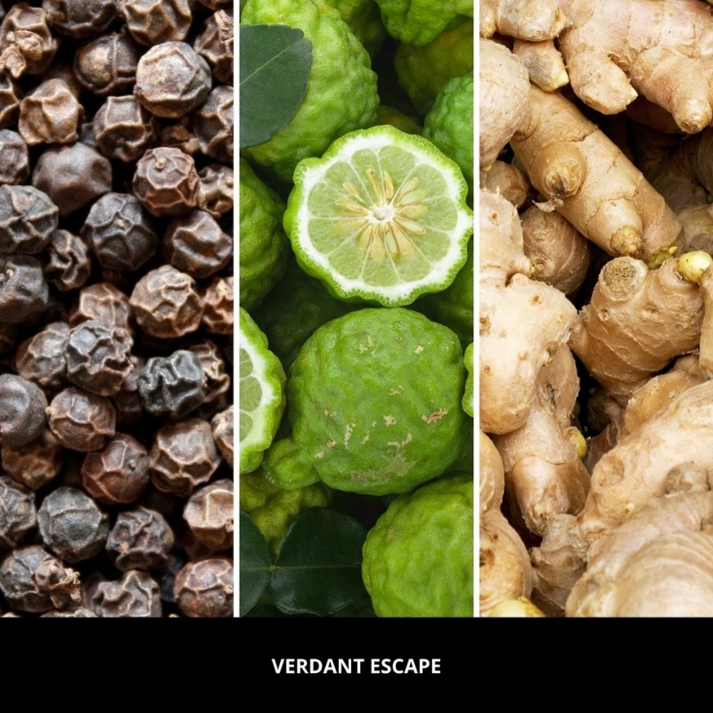 Pałeczki zapachowe Verdant Escape 250 ml - obrazek 4